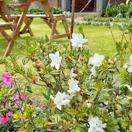 Kent Cottage Nuwara Eliya Zewnętrze zdjęcie