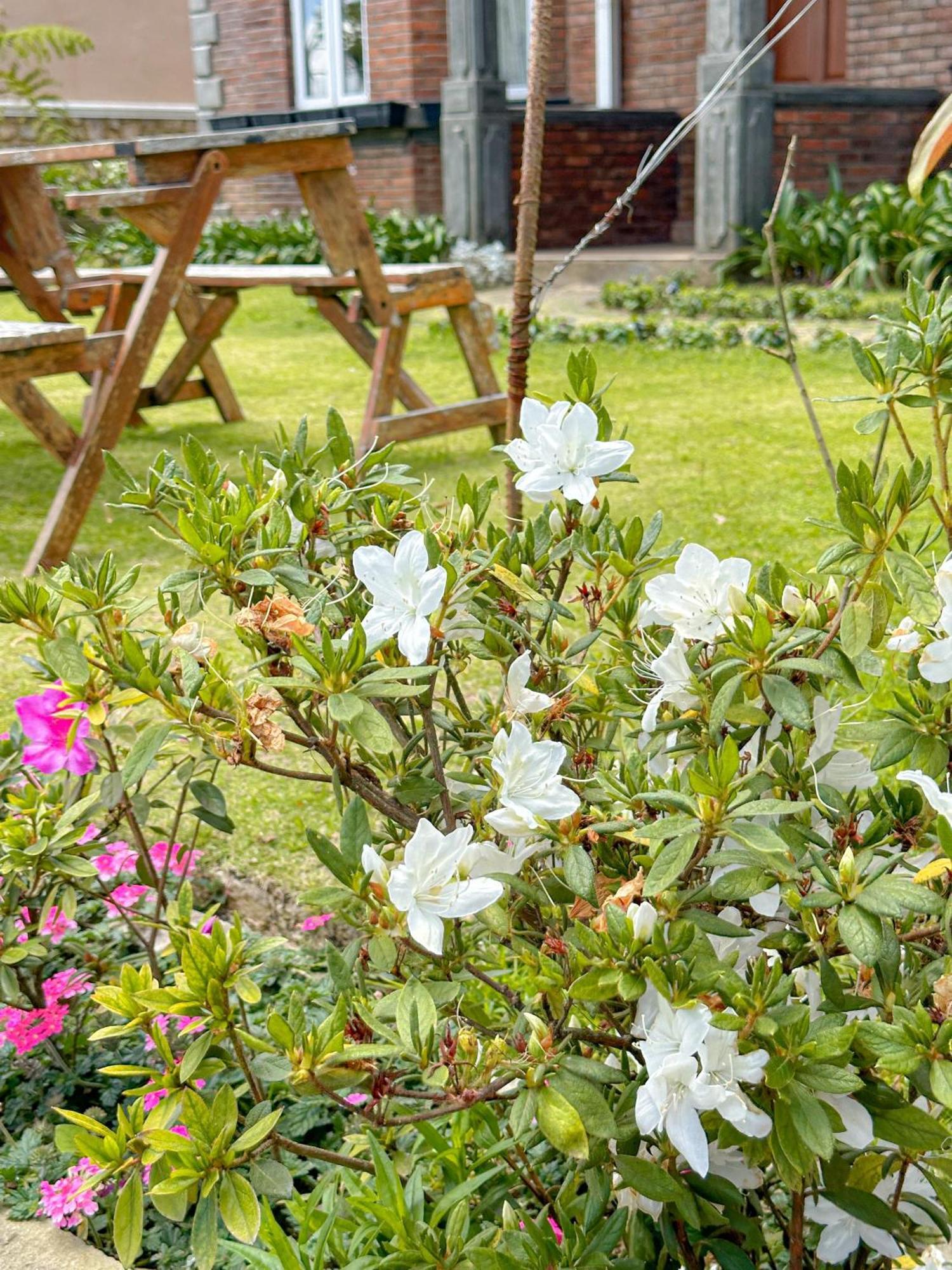 Kent Cottage Nuwara Eliya Zewnętrze zdjęcie